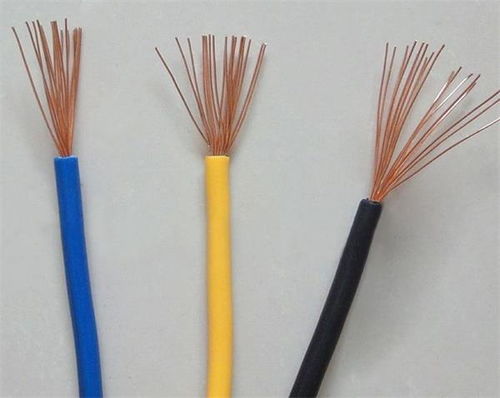 天津市電線二廠 BVR軟線專(zhuān)業(yè)制造商與高清產(chǎn)品圖鑒